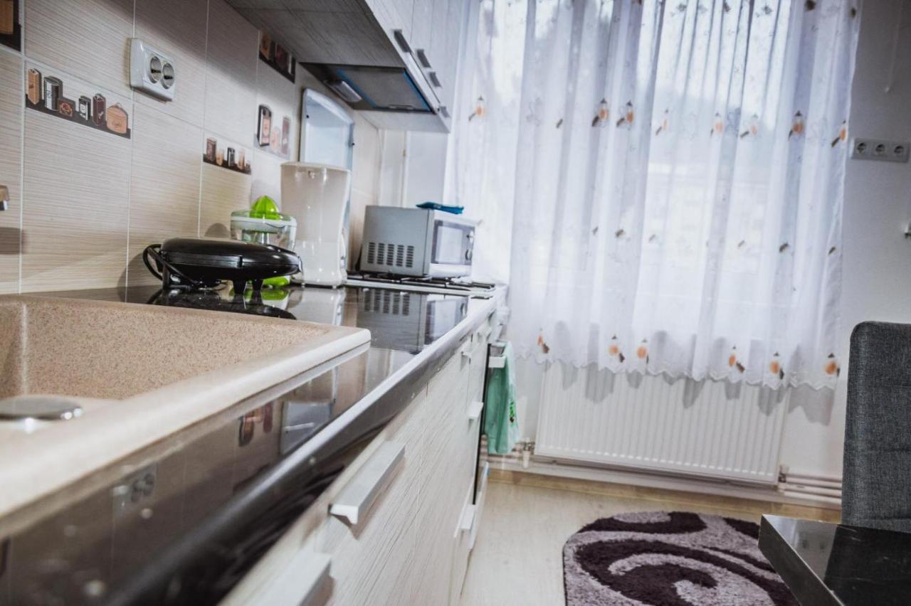 קאמפולונג מולדובנסק Alessia Residence מראה חיצוני תמונה